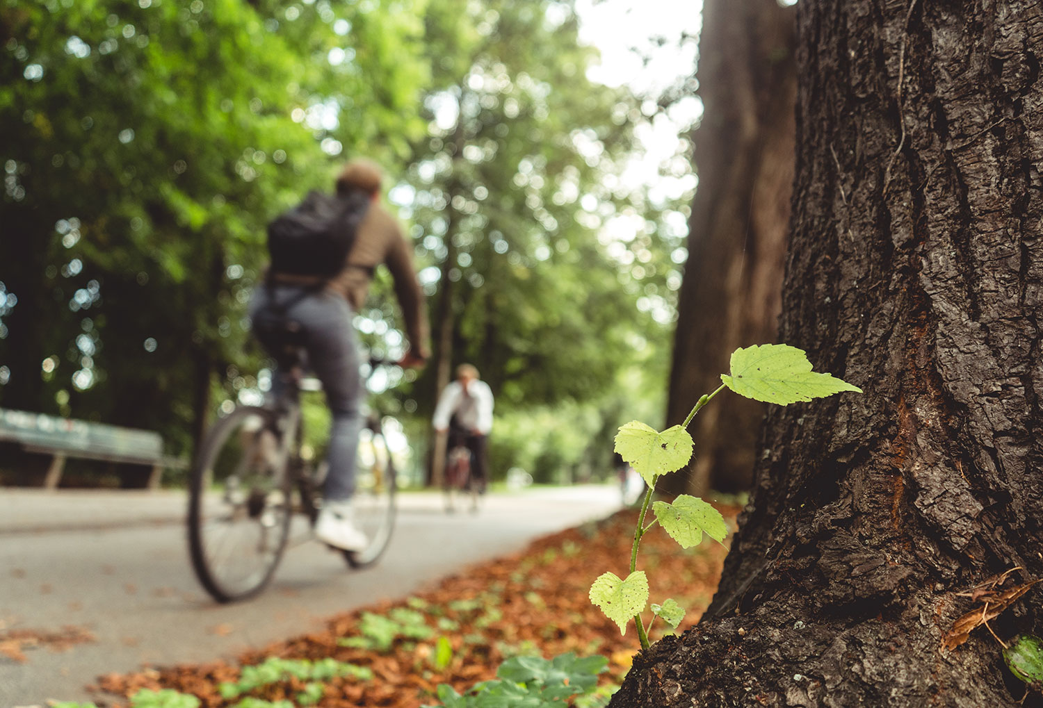 persona montando en bici